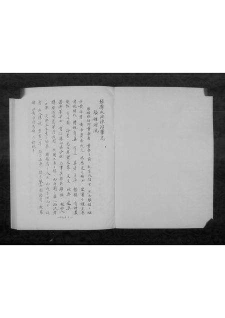 福建张氏廖氏族谱-张廖氏族谱.pdf电子版预览图4