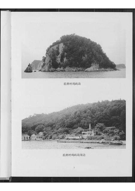 福建周氏族谱-金沙周氏祖谱.pdf电子版预览图4