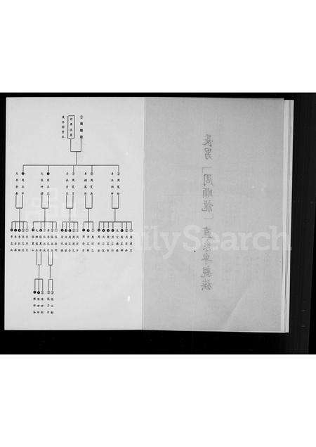 福建周氏族谱-[周氏]亲族谱.pdf电子版预览图4