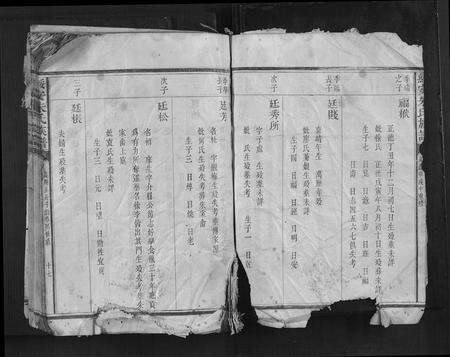 福建朱氏族谱-绥安朱氏族谱.pdf电子版预览图4