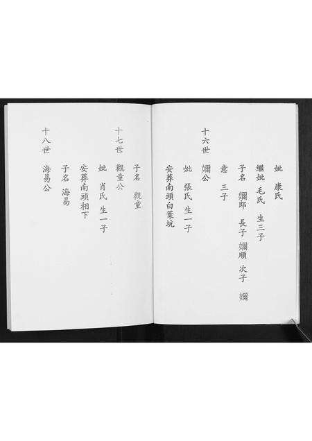 福建陈氏族谱-陈氏族谱.pdf电子版预览图4