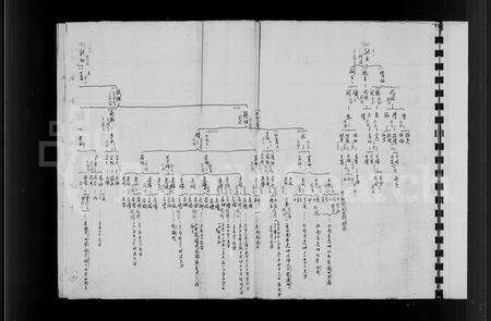 福建白氏族谱-白氏族谱 _ 安溪榜头白氏全族世系.pdf电子版预览图4