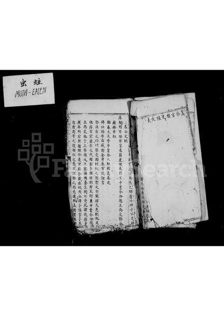 福建郭氏族谱-双阙郭氏族谱.pdf电子版预览图4