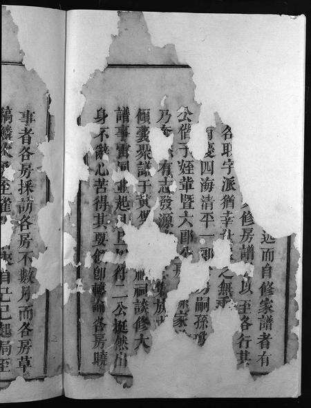 福建傅氏族谱-清河傅氏八修大成谱 [卷数不详].pdf电子版预览图4