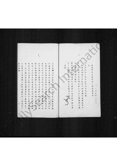 福建雷氏族谱-雷氏族谱(别名：晋江丰山雷氏族谱).pdf电子版预览图4