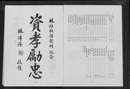 福建林氏族谱-林姓大宗谱[1册].pdf电子版预览图4