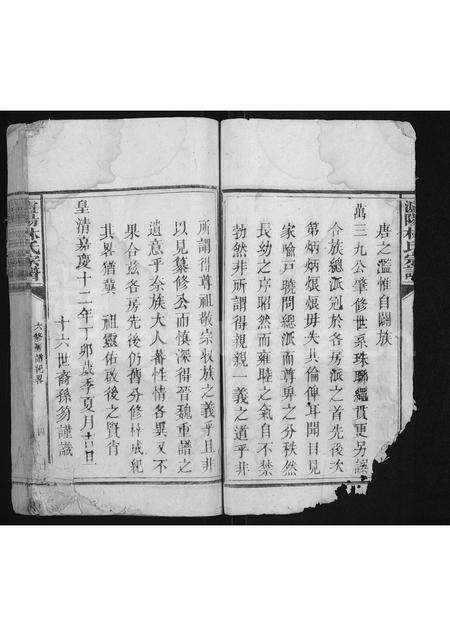 福建林氏族谱-泸阳林氏宗谱 [不分卷].pdf电子版预览图4