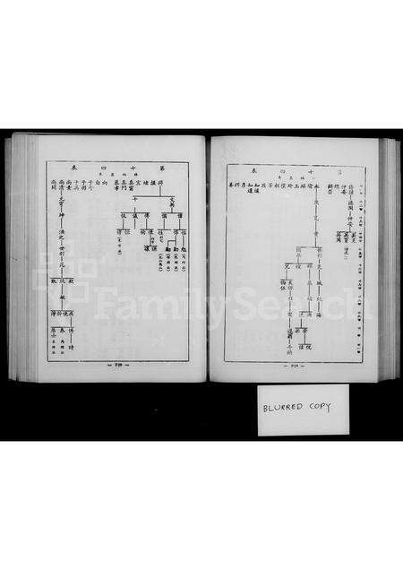 福建林氏族谱-林氏族谱 _ 金门.pdf电子版预览图4