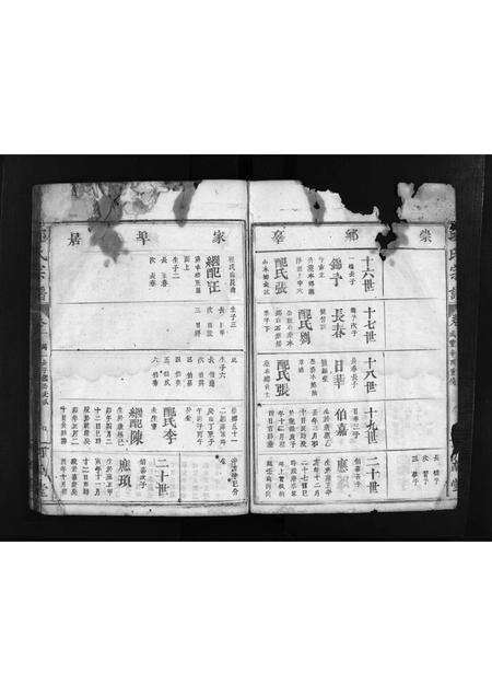 福建邱氏族谱-邱氏宗谱 [3卷,首1卷].pdf电子版预览图4