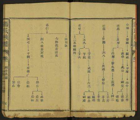福建汤氏族谱-汤氏族谱 [8卷首1卷].pdf电子版预览图4