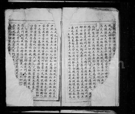 福建王氏族谱-太原王氏宗谱.pdf电子版预览图4