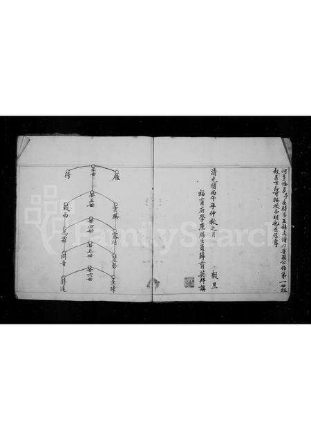 福建王氏族谱-太原王氏支谱.pdf电子版预览图4