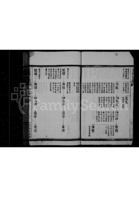 福建王氏族谱-王氏宗谱 _ 福鼎店下乡玉岐.pdf电子版预览图4