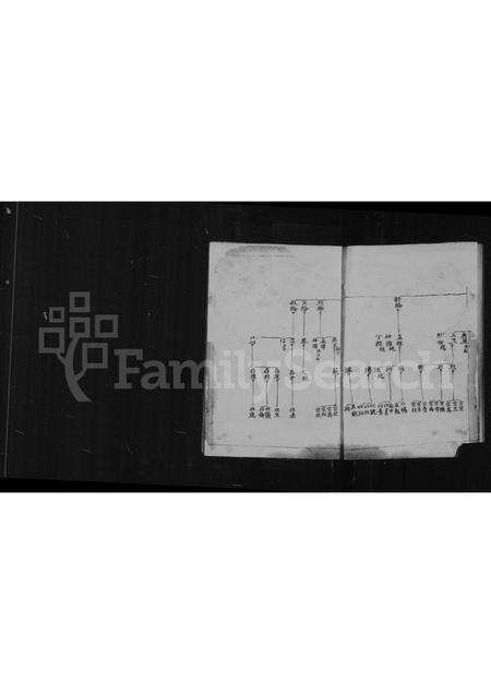 福建洪氏族谱-[洪氏族谱].pdf电子版预览图4