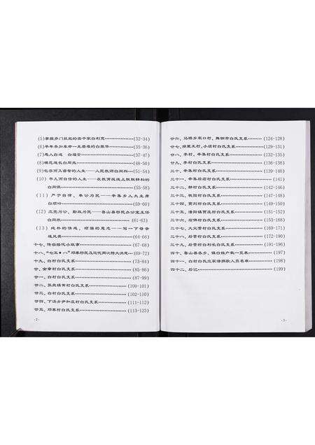 河南白氏族谱-白村白氏家谱.pdf电子版预览图4