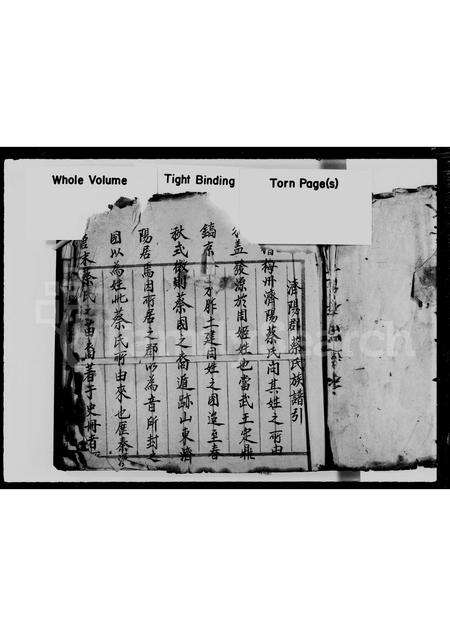 广东、福建蔡氏族谱-济阳郡蔡氏族谱.pdf电子版预览图4