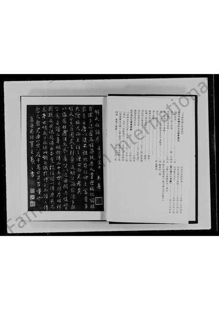 福建胡氏族谱-胡氏大族谱.pdf电子版预览图4