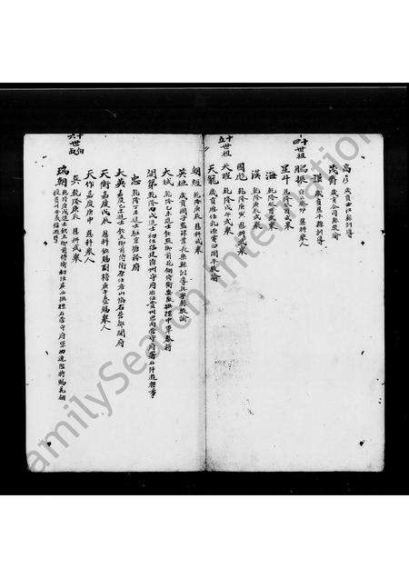 广东陈氏族谱-粤东陈氏正派族谱.pdf电子版预览图4