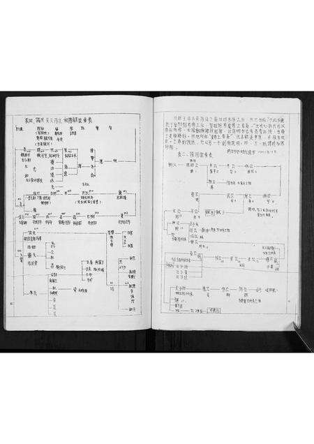 广东陈氏族谱-陈氏族谱[不分卷].pdf电子版预览图4