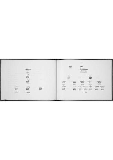 河南陈氏族谱-陈氏家谱[不分卷].pdf电子版预览图4