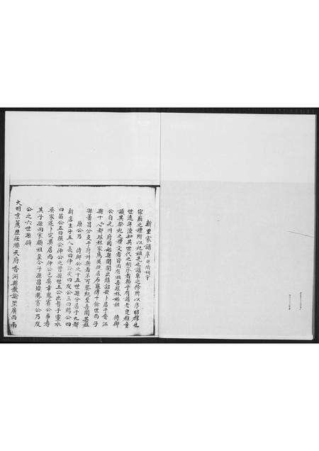 福建许氏族谱-[许氏]新里五房强公派下仙养公家谱.pdf电子版预览图4