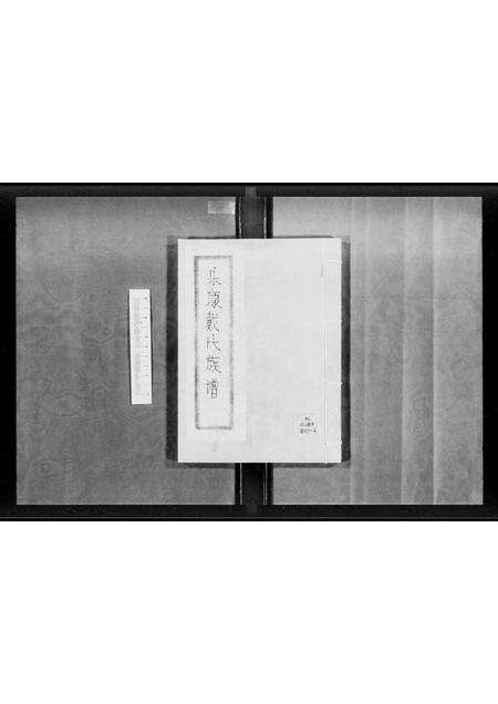 广东戴氏族谱-乐康戴氏族谱 [不分卷].pdf电子版预览图4