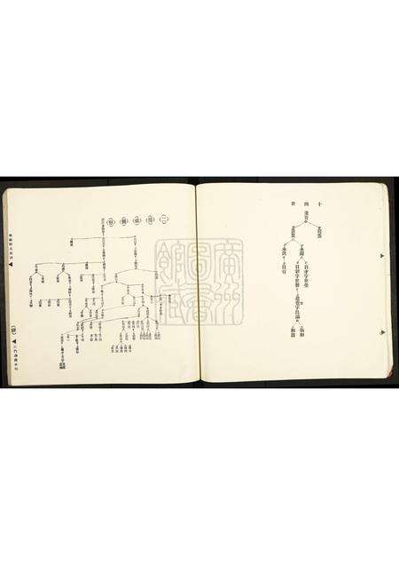 广东邓氏族谱-南阳邓氏族谱.pdf电子版预览图4