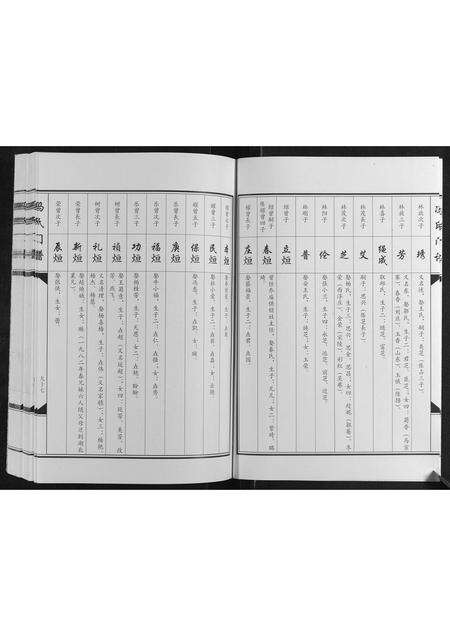 河南冯氏族谱-冯氏门谱[上下卷].pdf电子版预览图4