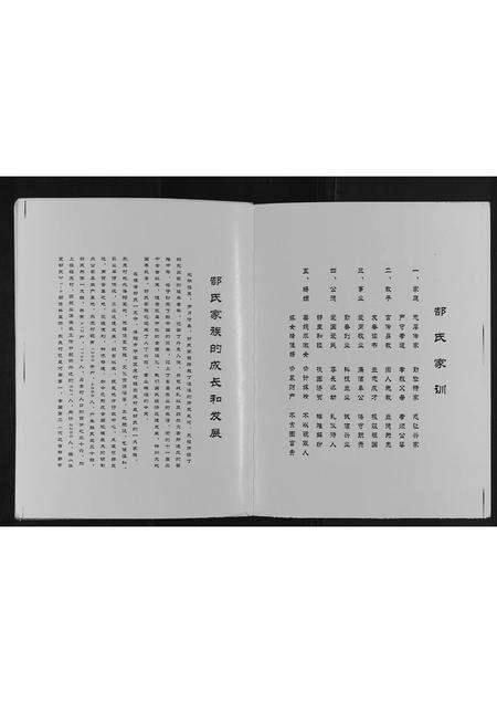 河南郜氏族谱-郜氏家谱[不分卷].pdf电子版预览图4