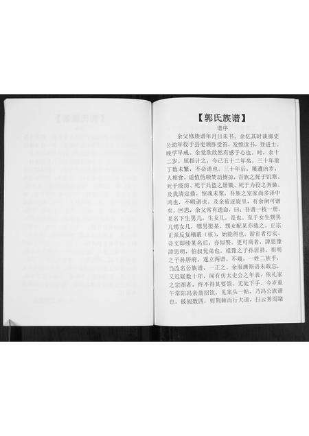 河南郭氏族谱-郭氏族谱[不分卷].pdf电子版预览图4