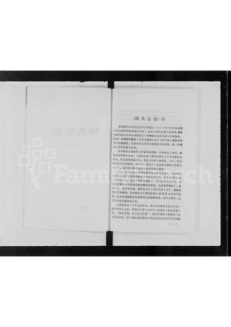 广东洪氏族谱-洪氏宗谱.pdf电子版预览图4