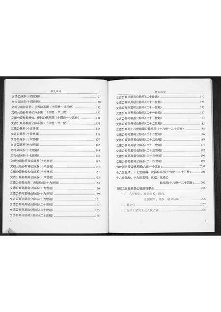 广东骆氏族谱-骆氏族谱[不分卷].pdf电子版预览图4