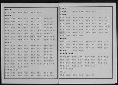 福建黄氏族谱-仁宅黄氏族谱(江夏紫云黄氏安溪房南安).pdf电子版预览图4