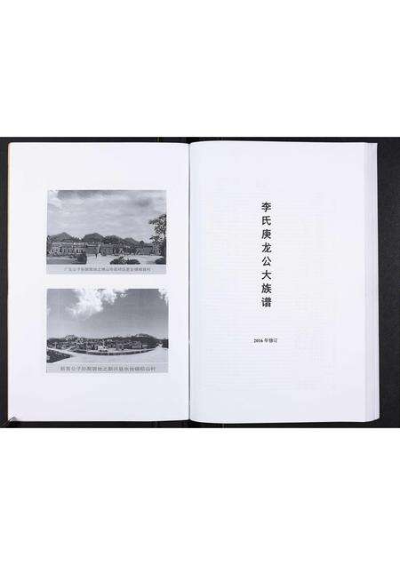 广东李氏族谱-李氏庚龙公大族谱.pdf电子版预览图4