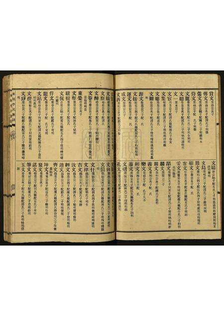 广东李氏族谱-东坑李氏族谱.pdf电子版预览图4