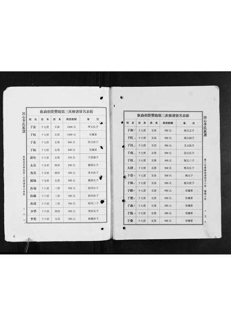 广东李氏族谱-田心李氏族谱.pdf电子版预览图4