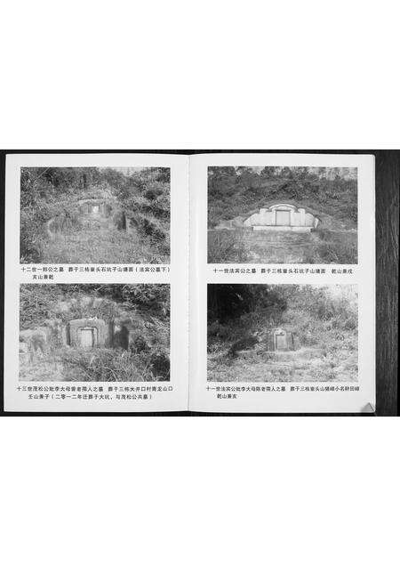 广东李氏族谱-矮岗李氏族谱.pdf电子版预览图4