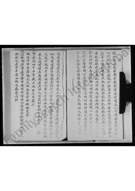 广东李氏族谱-陇西李氏族谱.pdf电子版预览图4