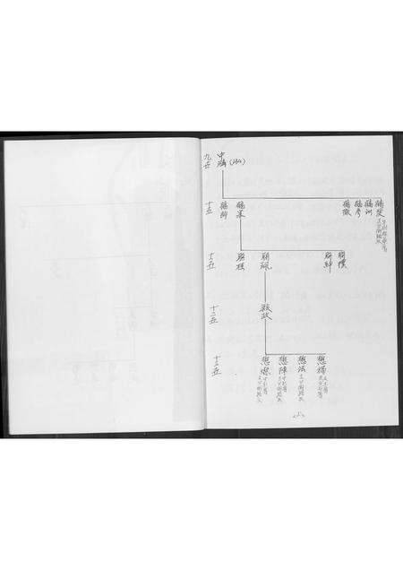 福建黄氏族谱-同安房金柄纶公派下支分文斗安聚公(字驰复)分布支图简录.pdf电子版预览图4