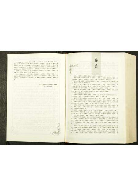 河南李氏族谱-南程李氏家谱.pdf电子版预览图4