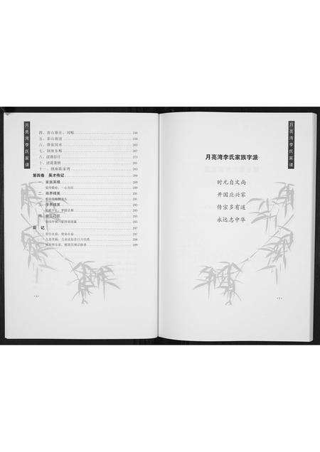 河南李氏族谱-月亮湾李氏家谱.pdf电子版预览图4