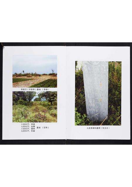 河南李氏族谱-李氏家谱[不分卷].pdf电子版预览图4