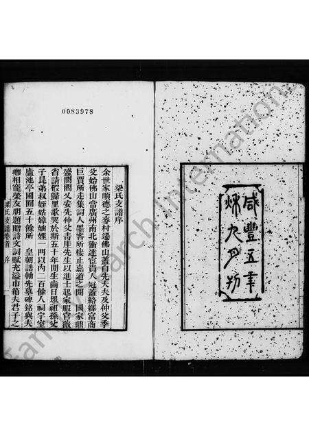 广东梁氏族谱-梁氏支谱 [6卷,首1卷].pdf电子版预览图4