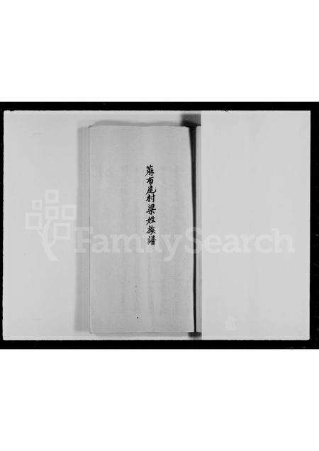 广东梁氏族谱-麻布尾村梁姓族谱.pdf电子版预览图4