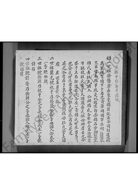 广东林氏族谱-新界屯门林氏族谱.pdf电子版预览图4