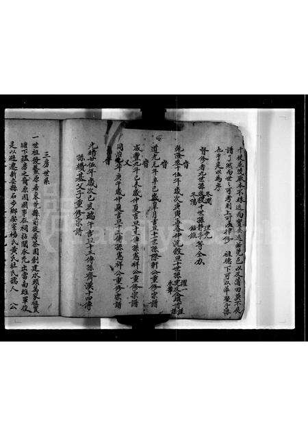 广东林氏族谱-发鳌公族谱第三房.pdf电子版预览图4