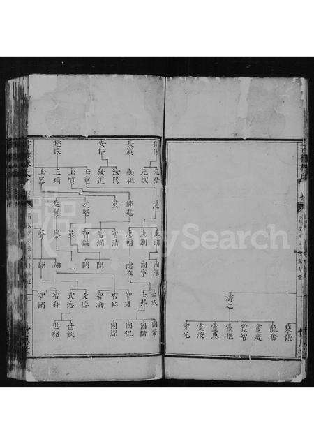 广东林氏族谱-书楼林氏世系.pdf电子版预览图4