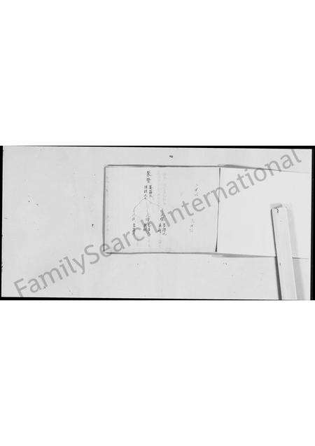 广东刘氏族谱-新会(虫雷)江刘氏中代谱系.pdf电子版预览图4