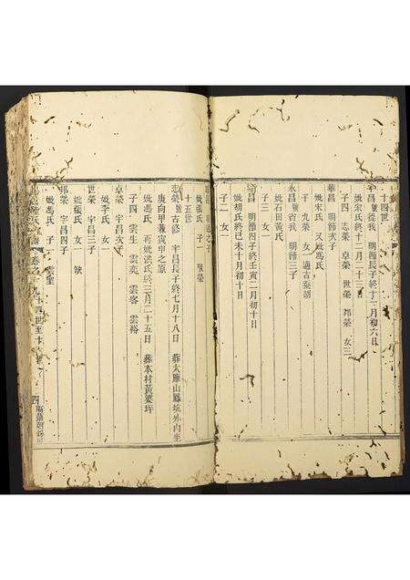 广东陆氏族谱-陆氏族谱.pdf电子版预览图4