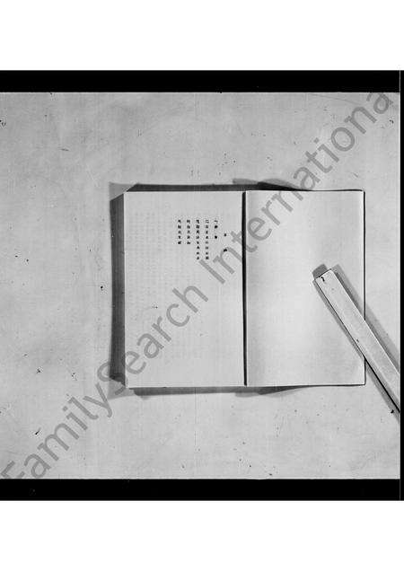 广东陆氏族谱-信宜陆氏族谱初稿.pdf电子版预览图4